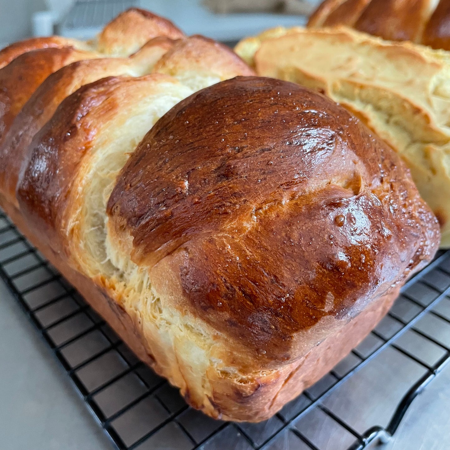 Brioche Bread