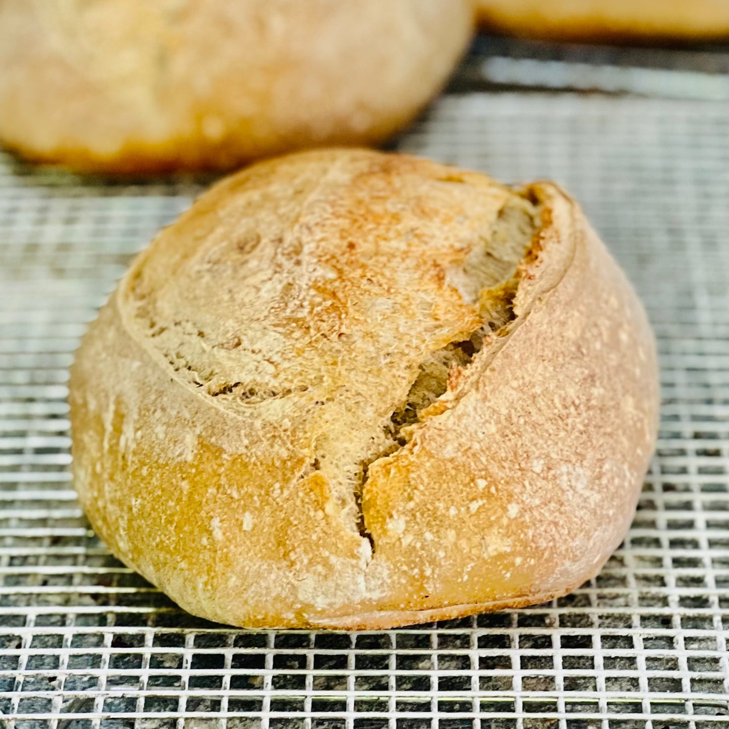 Whole Wheat Sourdough (Subscription)