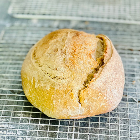 Whole Wheat Sourdough (Subscription)