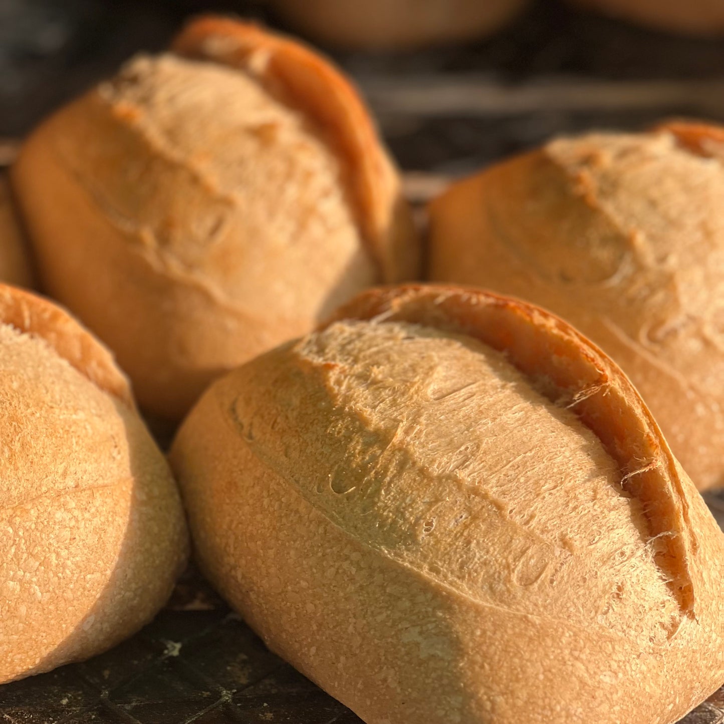 Plain Sourdough (Oval)