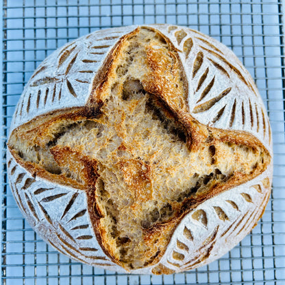 Sourdough Rounds Plain Sourdough (Round) – A Broke Baker